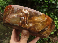 Polished Gorgeous Petrified Podocarpus Wood Bowl  x 1 From Mahajanga, Madagascar - TopRock