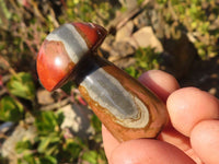 Polished Mini Polychrome / Picasso Jasper Mushrooms  x 35 From Madagascar