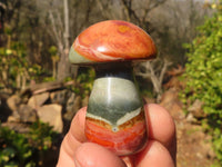 Polished Mini Polychrome / Picasso Jasper Mushrooms  x 35 From Madagascar