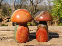 Polished Mini Polychrome / Picasso Jasper Mushrooms  x 35 From Madagascar