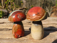 Polished Mini Polychrome / Picasso Jasper Mushrooms  x 35 From Madagascar