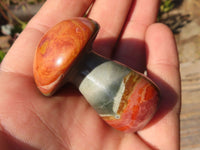 Polished Mini Polychrome / Picasso Jasper Mushrooms  x 35 From Madagascar