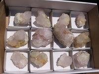 Natural White Spirit Cactus Quartz Clusters  x 12 From Boekenhouthoek, South Africa - Toprock Gemstones and Minerals 