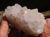 Natural White Spirit Cactus Quartz Clusters  x 12 From Boekenhouthoek, South Africa - Toprock Gemstones and Minerals 