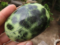 Polished Large Leopard Stone Gallets  x 6 From Zimbabwe - Toprock Gemstones and Minerals 