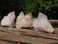 Natural White Spirit Cactus Quartz Clusters  x 12 From Boekenhouthoek, South Africa - Toprock Gemstones and Minerals 