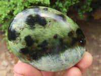 Polished Large Leopard Stone Gallets  x 6 From Zimbabwe - Toprock Gemstones and Minerals 