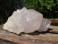 Natural White Spirit Cactus Quartz Clusters  x 12 From Boekenhouthoek, South Africa - Toprock Gemstones and Minerals 