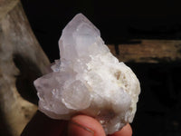 Natural White Spirit Cactus Quartz Clusters  x 12 From Boekenhouthoek, South Africa - Toprock Gemstones and Minerals 