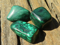 Polished Small Malachite Tumble Stones  x 20 From Congo - Toprock Gemstones and Minerals 