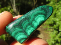 Polished Small Malachite Tumble Stones  x 20 From Congo - Toprock Gemstones and Minerals 