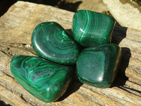 Polished Small Malachite Tumble Stones  x 20 From Congo - Toprock Gemstones and Minerals 