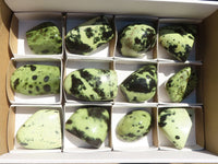 Polished Stopped Leopard Stone Standing Free Forms  x 12 From Nyanga & Shamva, Zimbabwe - Toprock Gemstones and Minerals 