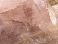 Polished Hand Carved Rose Quartz Skull With Rainbow Inclusions  x 1 From Madagascar - TopRock