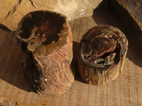 Polished  Petrified Wood Branch Pieces x 2 From Gokwe, Zimbabwe