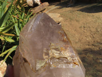 Polished Cascading Smokey Amethyst Quartz Crystal x 1 From Akansobe, Madagascar - TopRock