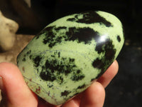 Polished Stopped Leopard Stone Standing Free Forms  x 12 From Nyanga & Shamva, Zimbabwe - Toprock Gemstones and Minerals 