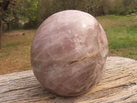 Polished Hand Carved Rose Quartz Skull With Rainbow Inclusions  x 1 From Madagascar - TopRock