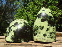 Polished Stopped Leopard Stone Standing Free Forms  x 12 From Nyanga & Shamva, Zimbabwe - Toprock Gemstones and Minerals 