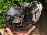 Polished Extra Large Septerye Sauvage "Dragons" Egg With Metal Stand  x 2 From Mahajanga, Madagascar - Toprock Gemstones and Minerals 