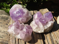 Natural Jacaranda Amethyst Clusters  x 3 From Zambia - Toprock Gemstones and Minerals 