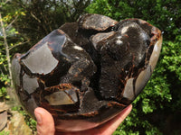 Polished Extra Large Septerye Sauvage "Dragons" Egg With Metal Stand  x 2 From Mahajanga, Madagascar - Toprock Gemstones and Minerals 