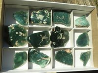 Polished Emerald Mtorolite / Chrome Chrysoprase Plates  x 12 From Zimbabwe - TopRock