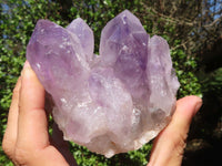 Natural Jacaranda Amethyst Clusters  x 3 From Zambia - Toprock Gemstones and Minerals 