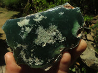 Polished Emerald Mtorolite / Chrome Chrysoprase Plates  x 12 From Zimbabwe - TopRock