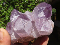 Natural Jacaranda Amethyst Clusters  x 3 From Zambia - Toprock Gemstones and Minerals 