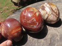 Polished Petrified Red Podocarpus Wood Eggs x 3 From Mahajanga, Madagascar - TopRock