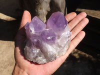 Natural Jacaranda Amethyst Clusters  x 3 From Zambia - Toprock Gemstones and Minerals 