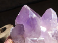 Natural Jacaranda Amethyst Clusters  x 3 From Zambia - Toprock Gemstones and Minerals 