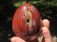 Polished Petrified Red Podocarpus Wood Eggs x 3 From Mahajanga, Madagascar - TopRock