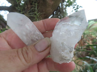 Natural Single Clear Quartz Crystals  x 26 From Mpika, Zambia - Toprock Gemstones and Minerals 