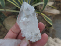 Natural Single Clear Quartz Crystals  x 26 From Mpika, Zambia - Toprock Gemstones and Minerals 