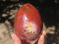 Polished Petrified Red Podocarpus Wood Eggs x 3 From Mahajanga, Madagascar - TopRock