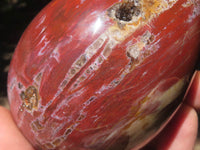 Polished Petrified Red Podocarpus Wood Eggs x 3 From Mahajanga, Madagascar - TopRock