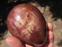 Polished Petrified Red Podocarpus Wood Eggs x 3 From Mahajanga, Madagascar - TopRock