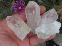 Natural Single Clear Quartz Crystals  x 26 From Mpika, Zambia - Toprock Gemstones and Minerals 