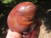 Polished Petrified Red Podocarpus Wood Eggs x 3 From Mahajanga, Madagascar - TopRock