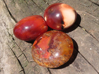 Polished Stunning Mixed Selection Of Palm Stones  x 24 From Madagascar - TopRock