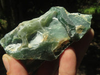 Natural Rough Green Mtorolite Specimens  x 2 From Zimbabwe - TopRock