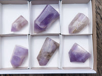 Polished Small Amethyst Points  x 6 From Madagascar - TopRock