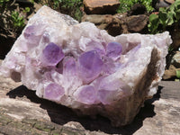 Natural Extra Large Jacaranda Amethyst Vug Specimen  x 1 From Mumbwa, Zambia - TopRock