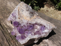 Natural Extra Large Jacaranda Amethyst Vug Specimen  x 1 From Mumbwa, Zambia - TopRock