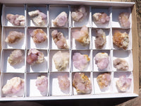 Natural Small Mixed Spirit Quartz Clusters  x 24 From Boekenhouthoek, South Africa - Toprock Gemstones and Minerals 