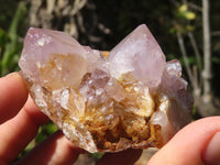 Natural Small Mixed Spirit Quartz Clusters  x 24 From Boekenhouthoek, South Africa - Toprock Gemstones and Minerals 