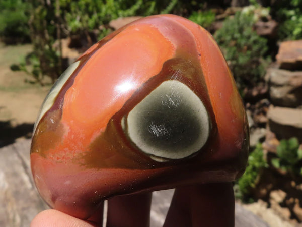 Polished Polychrome / Picasso Jasper Domes  x 6 From Madagascar - TopRock