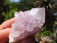 Natural Small Mixed Spirit Quartz Clusters  x 24 From Boekenhouthoek, South Africa - Toprock Gemstones and Minerals 